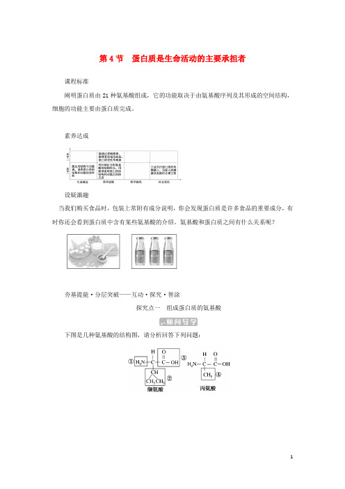 2023高中生物第2章组成细胞的分子第4节蛋白质是生命活动的主要承担者课堂互动探究案新人教版必修1