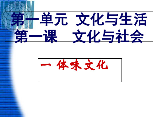 高二政治第一课第一框体味文化(32张)PPT课件