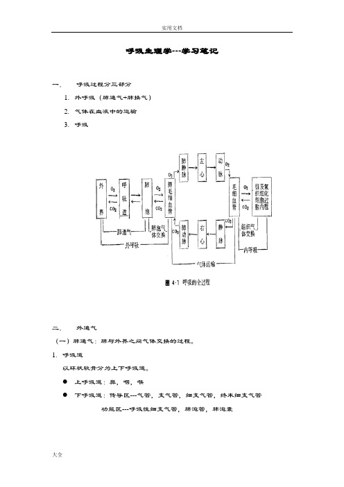 精华整理：呼吸生理学-学习笔记