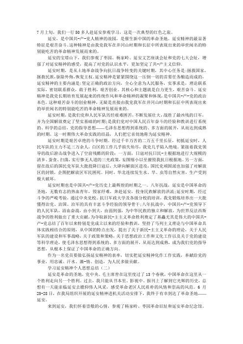 2020学习延安精神个人思想总结.docx