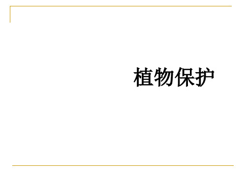 农业昆虫基本知识之昆虫的繁殖、发育与习性讲义