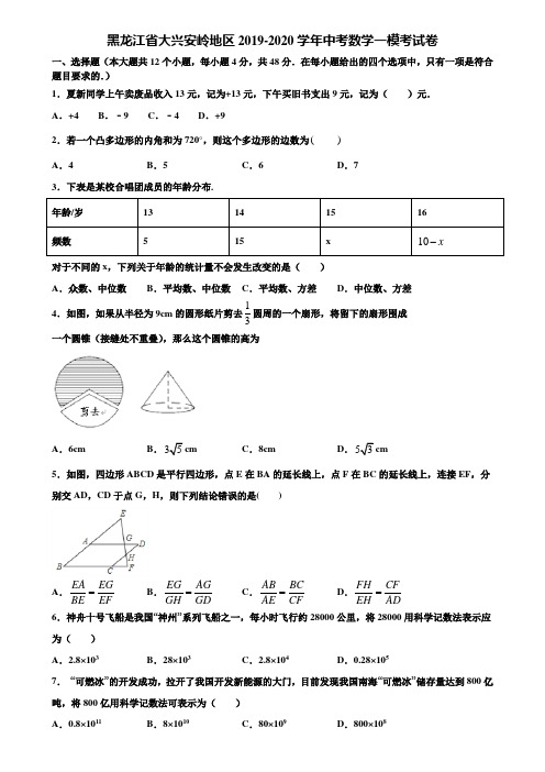 黑龙江省大兴安岭地区2019-2020学年中考数学一模考试卷含解析