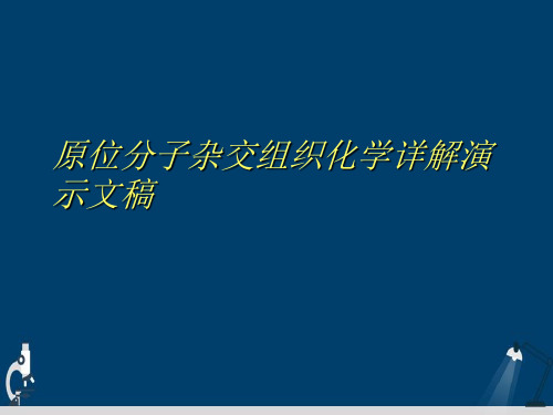 原位分子杂交组织化学详解演示文稿