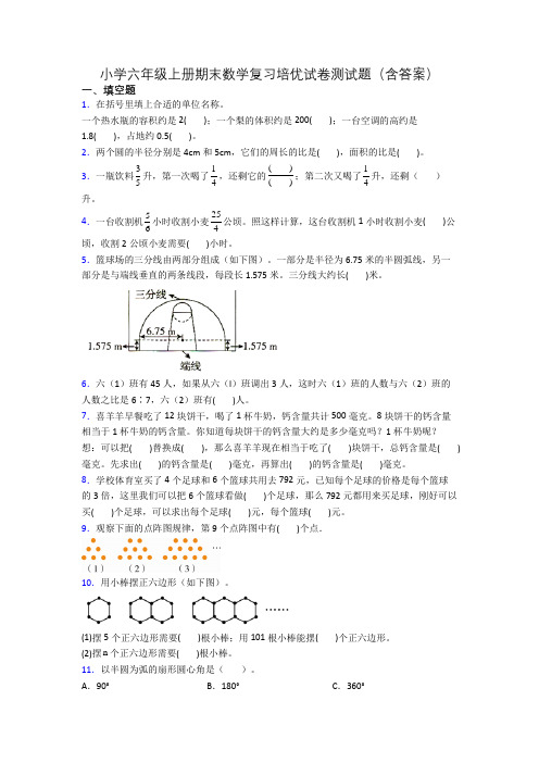 小学六年级上册期末数学复习培优试卷测试题(含答案)