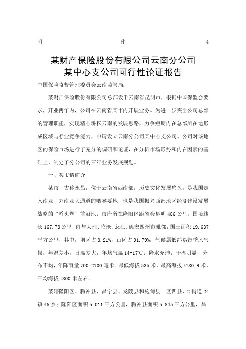 财产保险分支机构设立的可行性论证报告