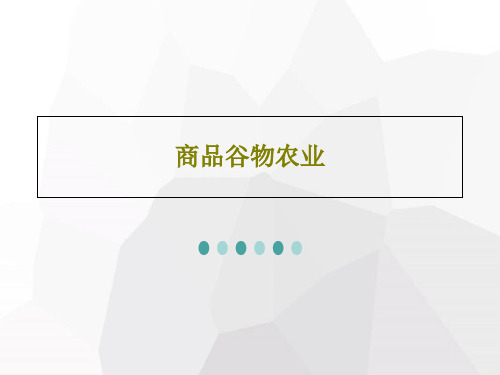 商品谷物农业共16页