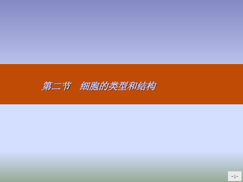 高中生物 3.2.1 原核细胞和真核细胞、细胞膜和细胞壁名师公开课省级获奖课件 苏教版必修1