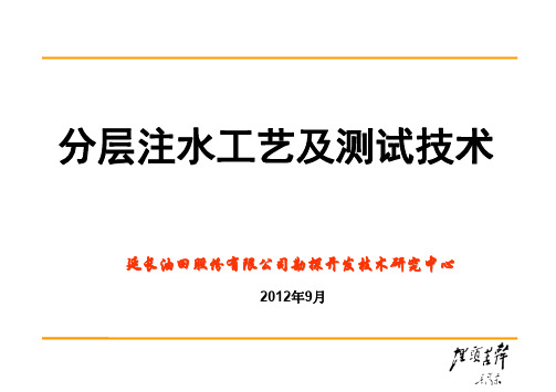 分层注水工艺及测试技术