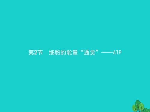 18版高中生物第五章细胞的能量供应和利用5.2细胞的能量“通货”——ATP课件1