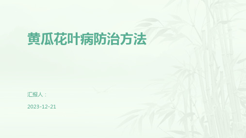 黄瓜花叶病防治方法