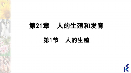 人的个体发育-2022-2023学年八年级生物上册同步精品课堂(苏科版) (2)