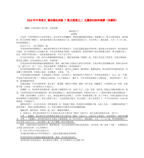 2019年中考语文 课后强化训练 7 散文阅读之二 主题的归纳和理解(含解析)