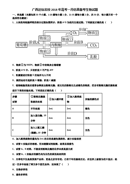 广西达标名校2018年高考一月仿真备考生物试题含解析