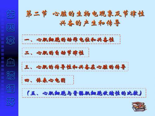 第二节 心脏的生物电现象