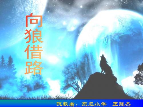 向狼借路