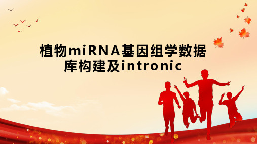 植物miRNA基因组学数据库构建及intronic