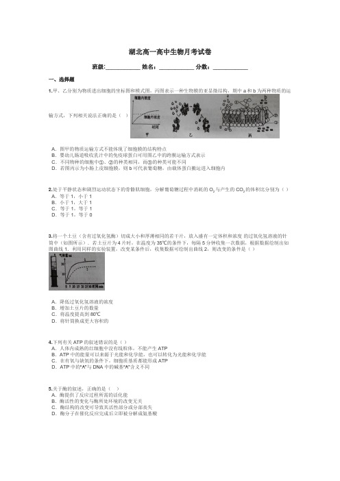 湖北高一高中生物月考试卷带答案解析