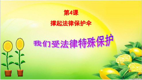 我们受法律特殊保护
