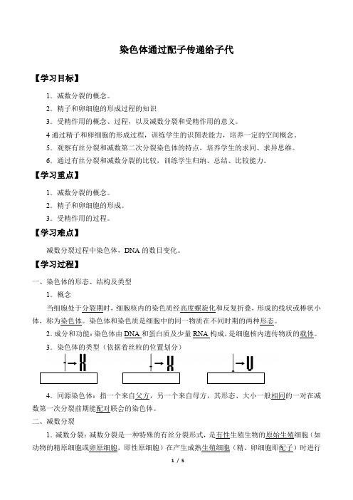 浙科版(2019)生物必修2：2.1 染色体通过配子传递给子代  学案