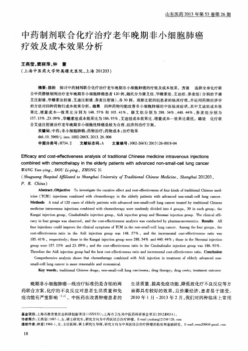 中药制剂联合化疗治疗老年晚期非小细胞肺癌疗效及成本效果分析