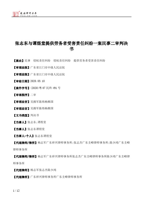 张志东与谭煜堂提供劳务者受害责任纠纷一案民事二审判决书