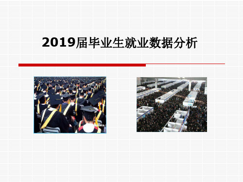 就业指导——2019届毕业生就业数据分析