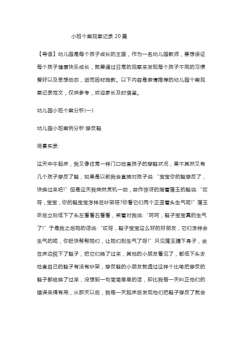 小班个案观察记录20篇