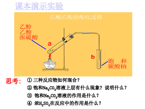 酯课件