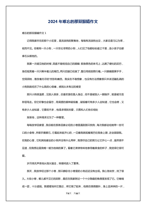 2024年难忘的那双眼睛作文