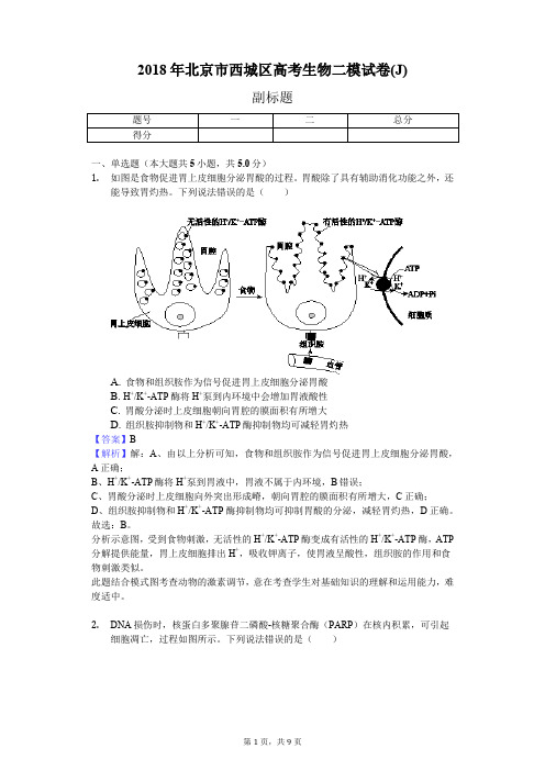 2018年北京市西城区高考生物二模试卷(J)