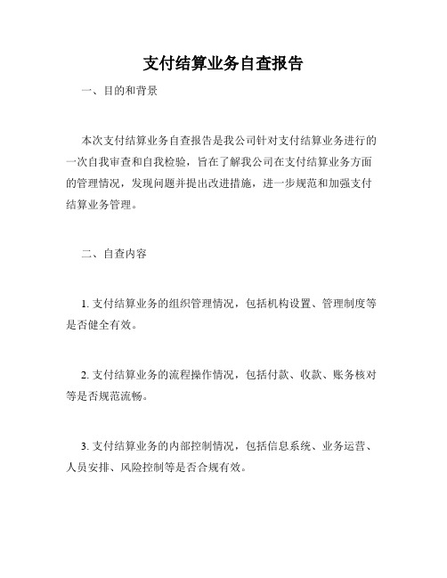 支付结算业务自查报告