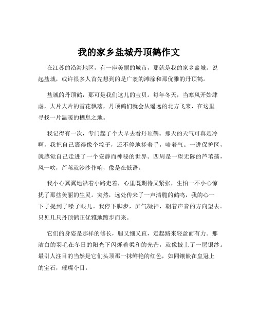 我的家乡盐城丹顶鹤作文