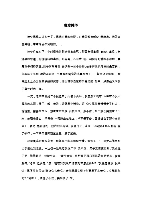 难忘姥爷_初二叙事作文