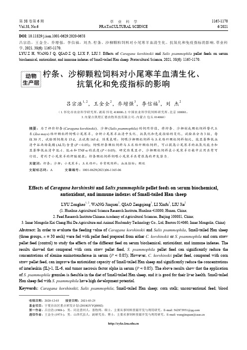 柠条、沙柳颗粒饲料对小尾寒羊血清生化、抗氧化和免疫指标的影响