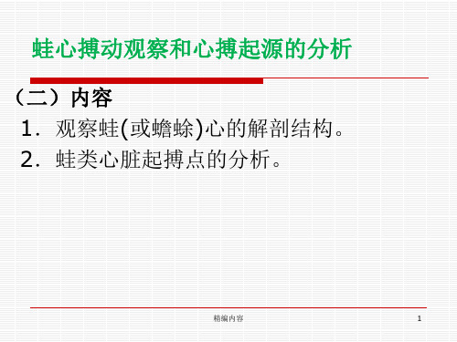 蛙心起搏点分析蛙心搏动观察和心搏起源的分析深度分析