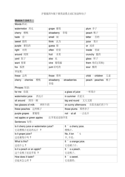 沪教版四年级下册英语重点词汇短语和句子