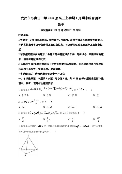 湖北省武汉市马房山中学2024届高三上学期期末综合测评数学试题含答案解析