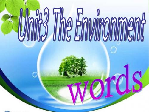 牛津深圳版英语九下Unit 3《The environment》(words)ppt课件1