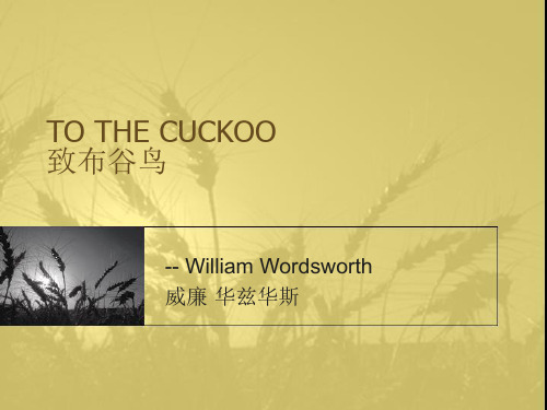 To the Cuckoo