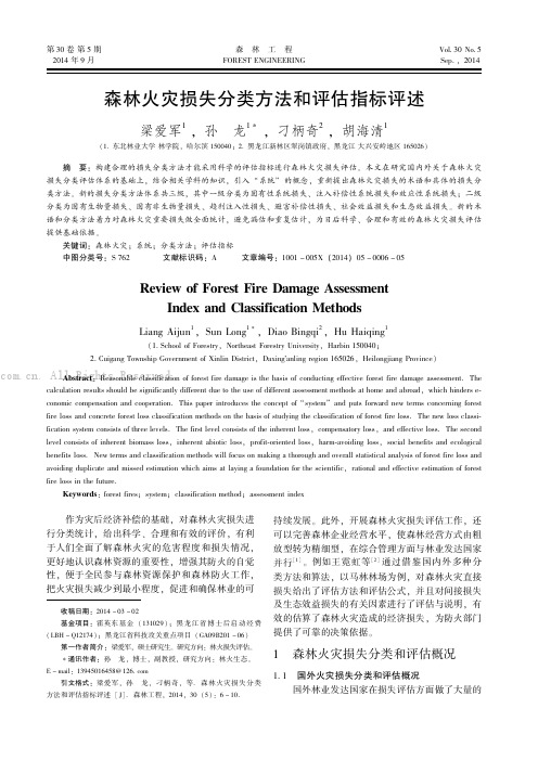 森林火灾损失分类方法和评估指标评述