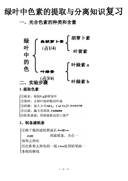 绿叶中色素的提取和分离实验注意事项