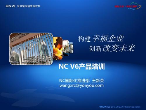 王新荣-NCV60组织、库存、委外、存货