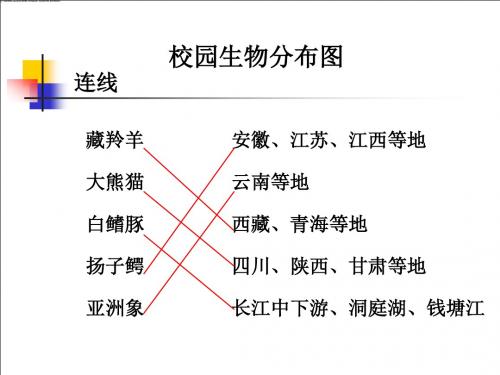 《校园生物分布图》教科版小学科学六年级上册第四单元PPT课件