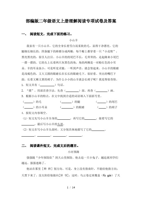 部编版二年级语文上册理解阅读专项试卷及答案