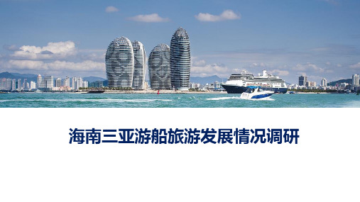 2020年海南三亚游船旅游发展情况调研报告【精品】