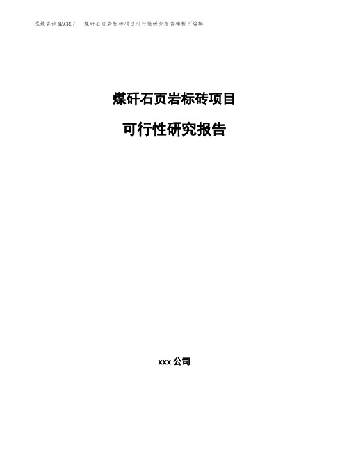 煤矸石页岩标砖项目可行性研究报告模板可编辑