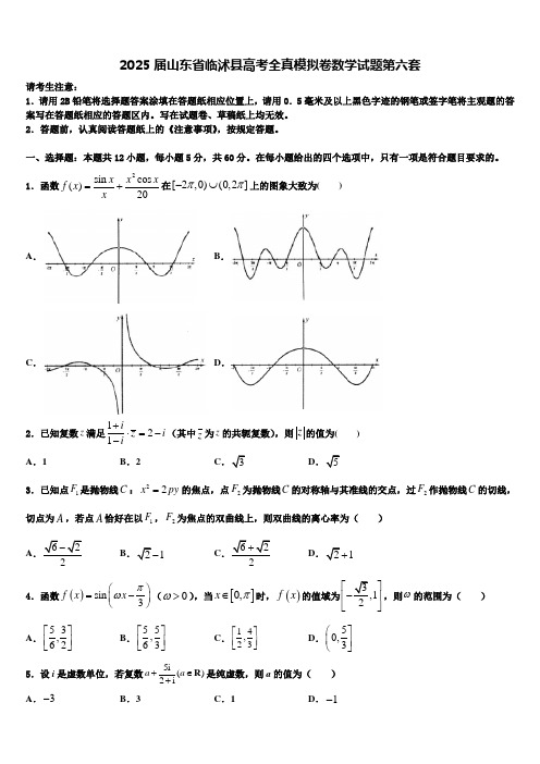 2025届山东省临沭县高考全真模拟卷数学试题第六套