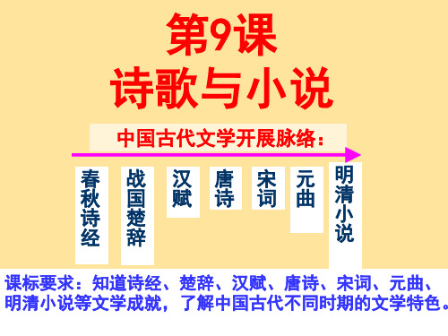 2021年高中历史第二单元中国古代文艺长廊第9课诗歌与小说课件5岳麓版必修3