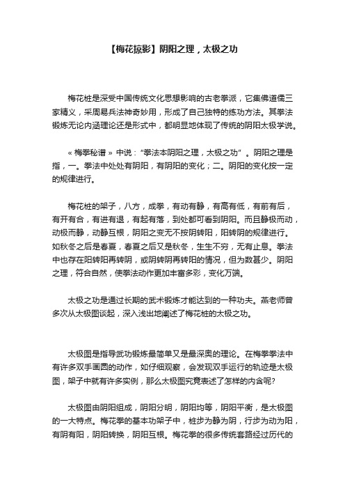 【梅花掠影】阴阳之理,太极之功