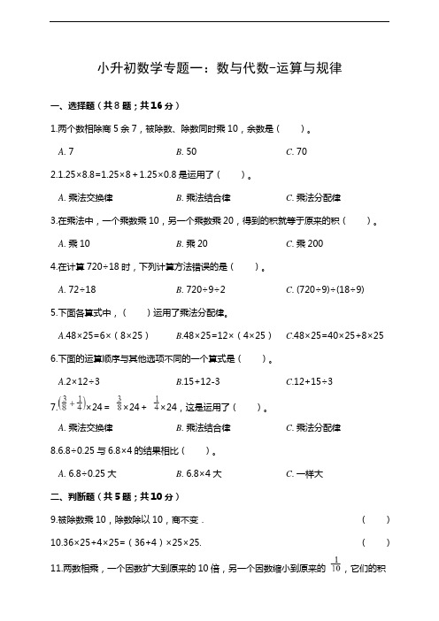 小升初数学专题一：数与代数--运算与规律